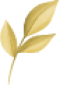 Asset 8