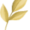 Asset 8